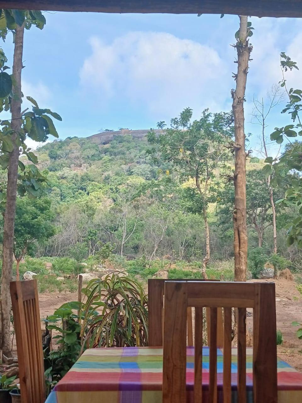 Pidurangala View Treehouse Apartment Сигирия Екстериор снимка