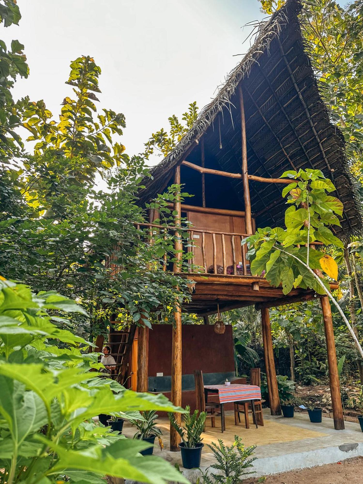 Pidurangala View Treehouse Apartment Сигирия Екстериор снимка