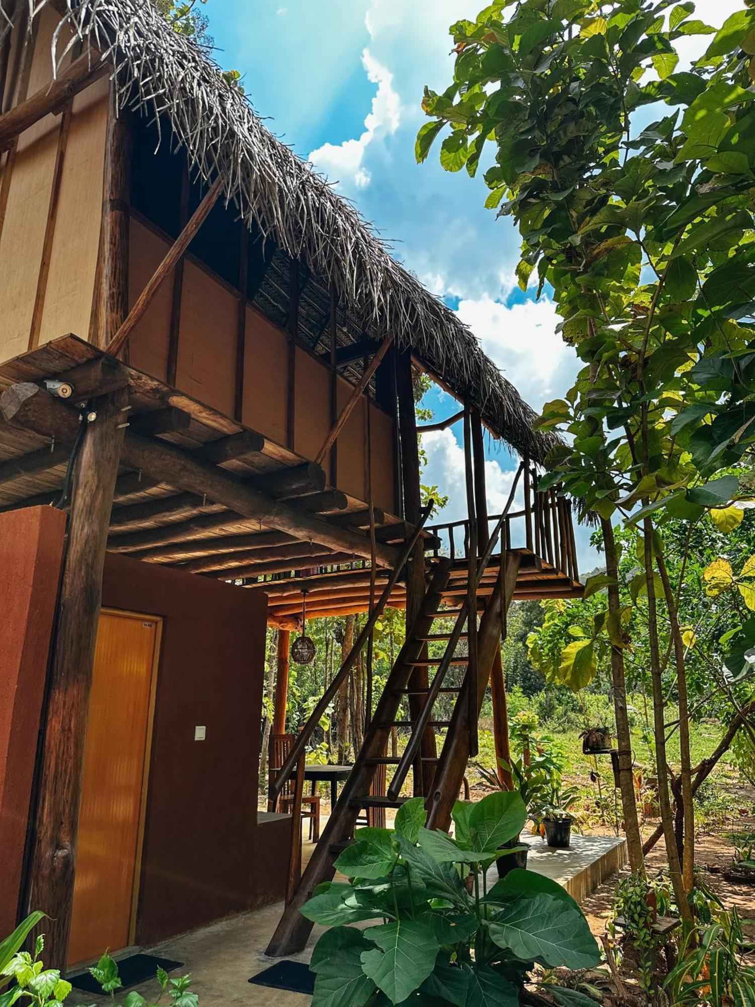 Pidurangala View Treehouse Apartment Сигирия Екстериор снимка