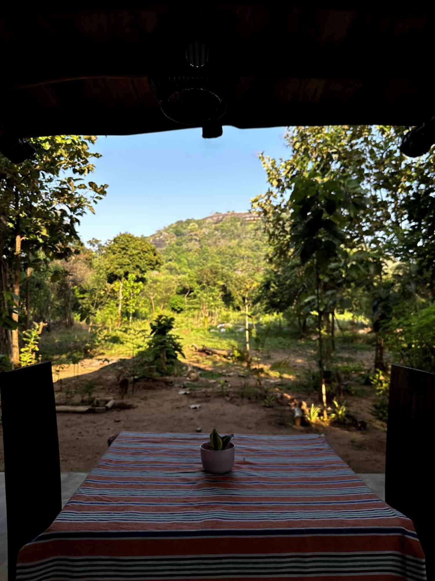 Pidurangala View Treehouse Apartment Сигирия Екстериор снимка