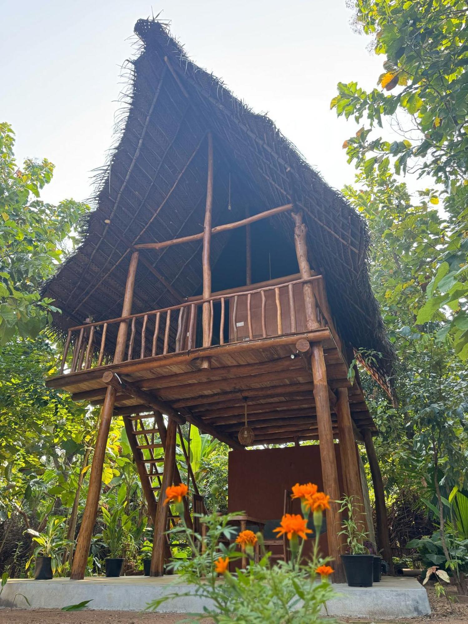 Pidurangala View Treehouse Apartment Сигирия Екстериор снимка