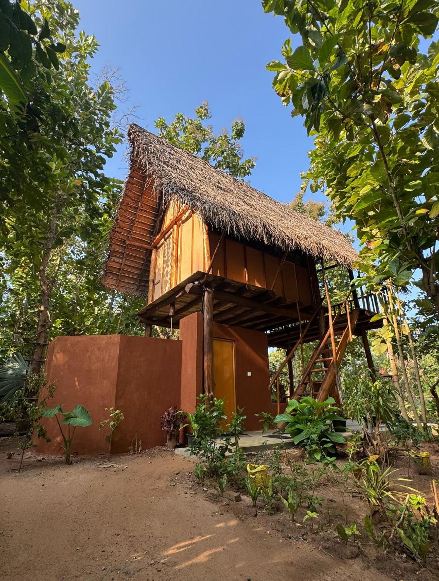 Pidurangala View Treehouse Apartment Сигирия Екстериор снимка