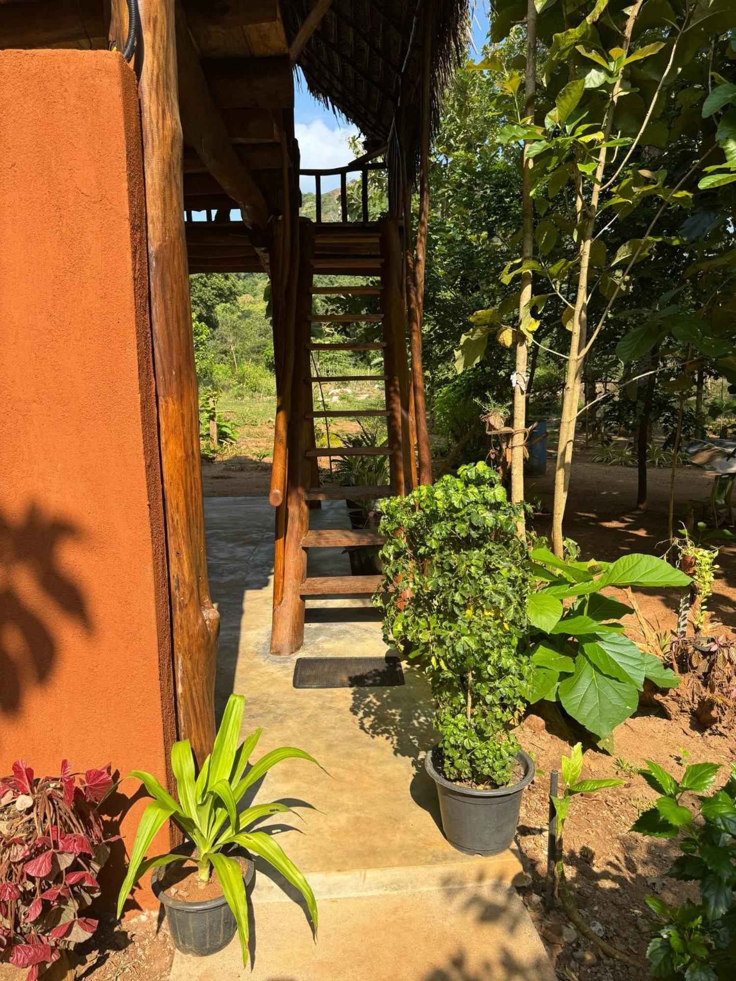 Pidurangala View Treehouse Apartment Сигирия Екстериор снимка